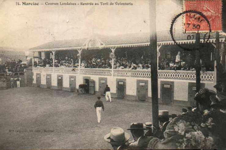 laignoux-lib-edit_24