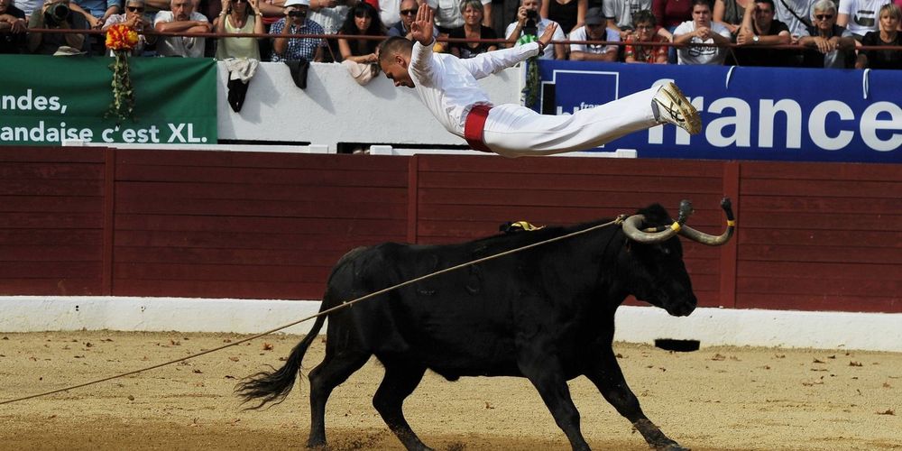 kevin-ribeiro-au-dessus-de-manolite