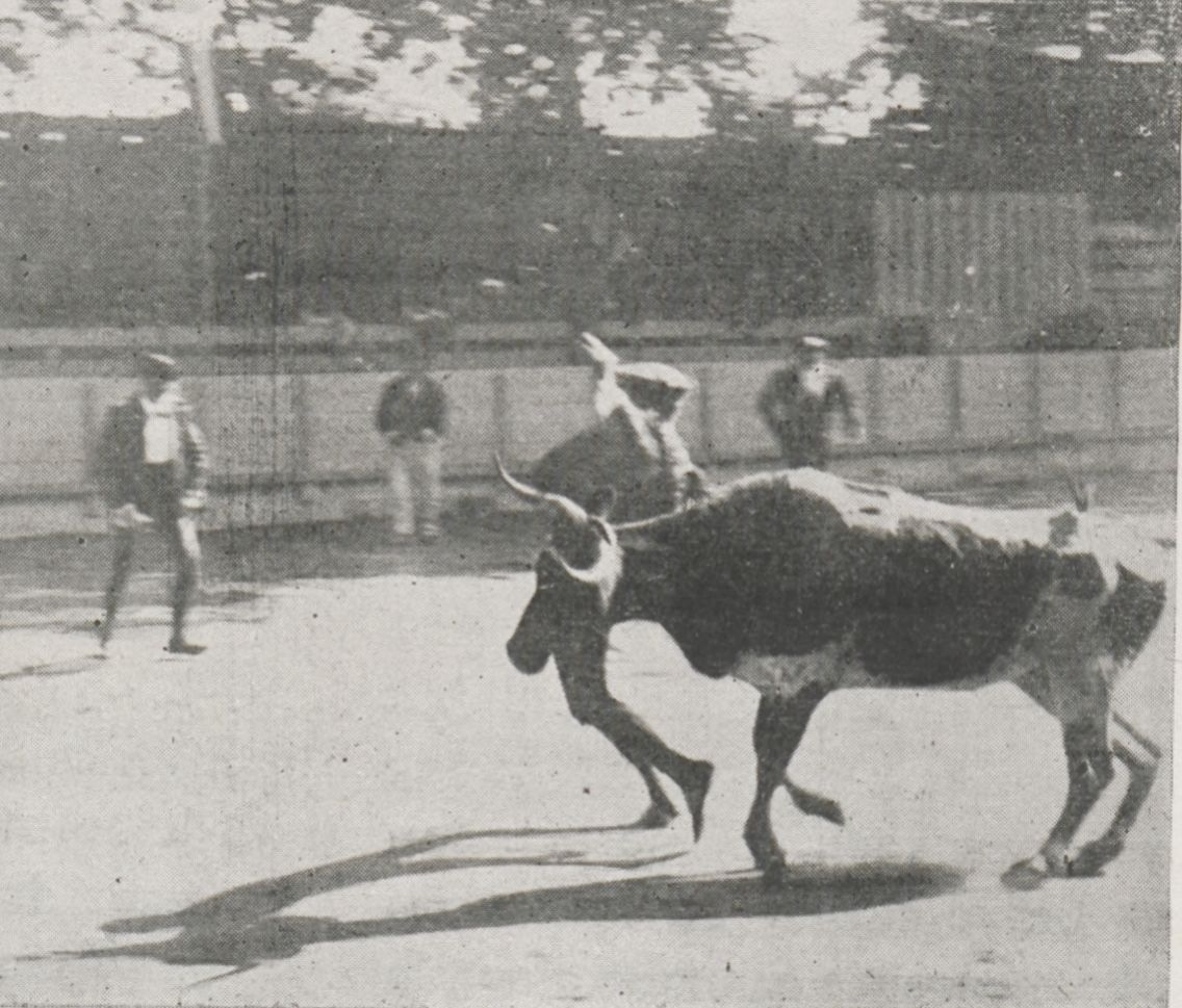 st-vincent-de-tyr_1898_sport-univ_2