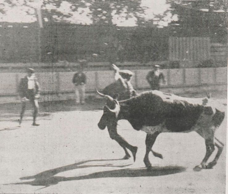 st-vincent-de-tyr_1898_sport-univ_2